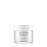 All In One Cream 80ml